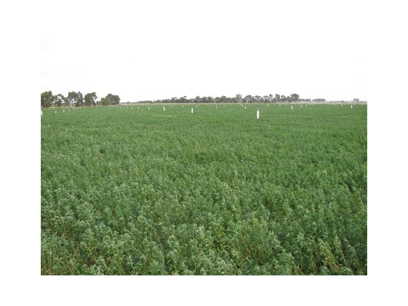 Farm 2373 Cunningham Road, Warburn NSW 2680