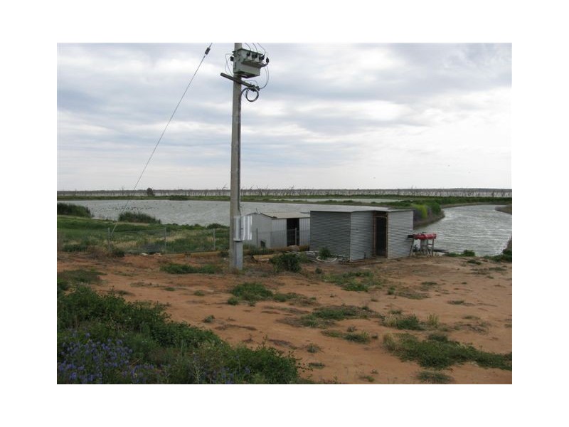 Farm 2373 Cunningham Road, Warburn NSW 2680