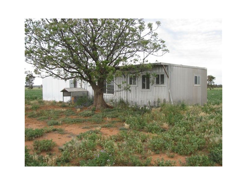 Farm 2373 Cunningham Road, Warburn NSW 2680