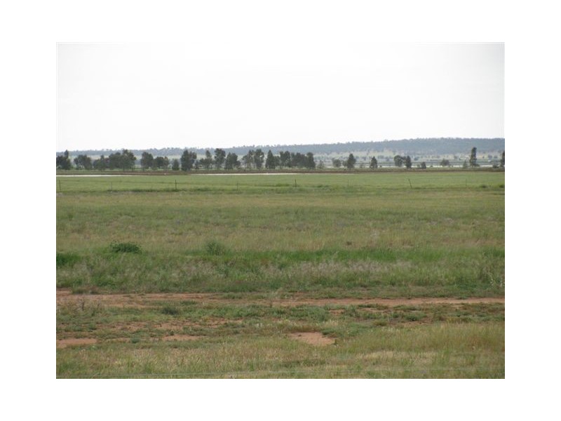 Farm 2373 Cunningham Road, Warburn NSW 2680