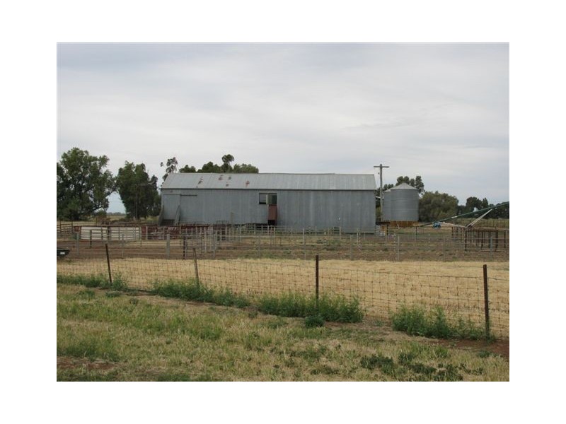 Farm 2374 Cunningham Road, Warburn NSW 2680