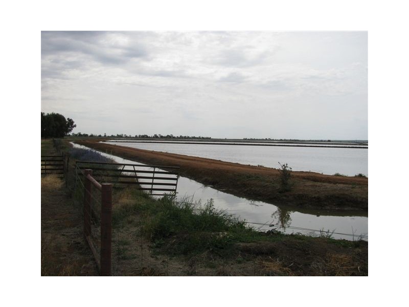 Farm 2374 Cunningham Road, Warburn NSW 2680