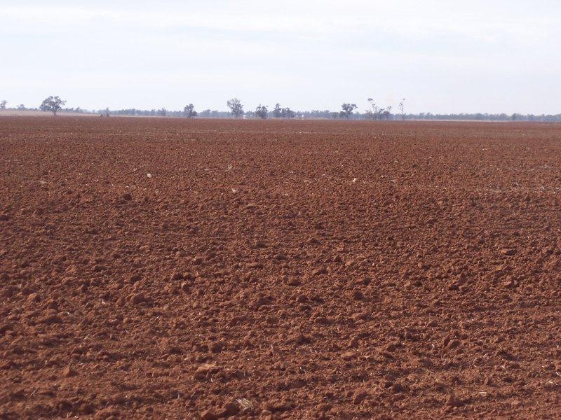 . “Ascot Vale”, Binya NSW 2665