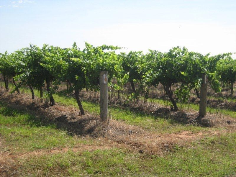. FARMS 2002 and 2076, Stanbridge NSW 2705