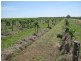 . FARMS 2002 and 2076, Stanbridge NSW 2705
