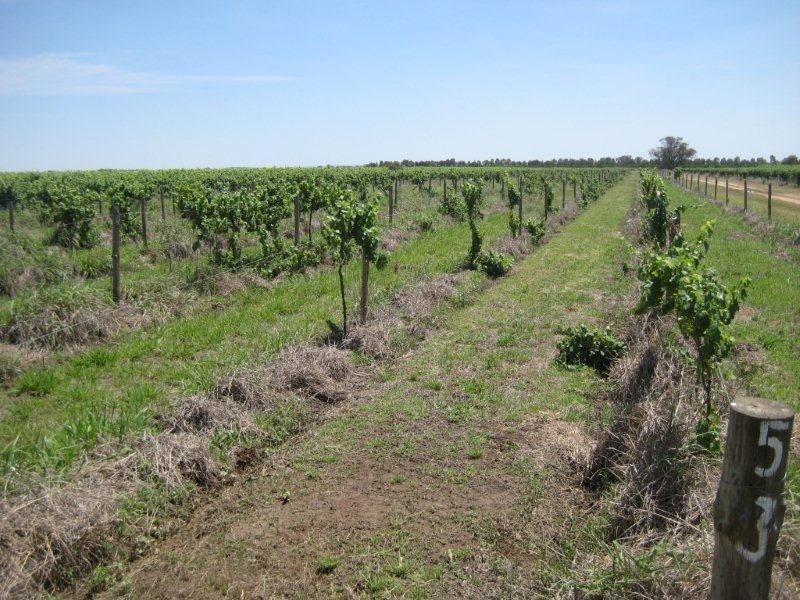 . FARMS 2002 and 2076, Stanbridge NSW 2705