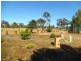 “Longwood” Mena Road, Rankins Springs NSW 2669