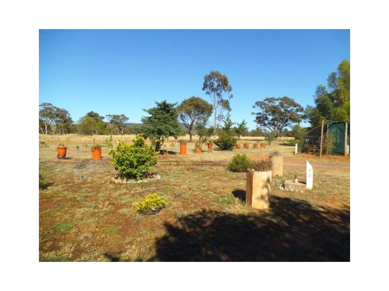 “Longwood” Mena Road, Rankins Springs NSW 2669