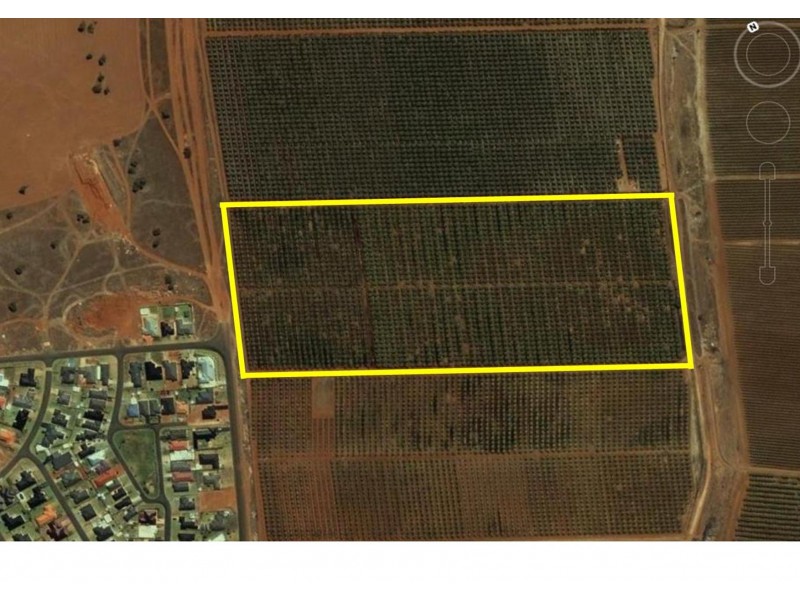 Farm 1685 Clifton Boulevard, Griffith NSW 2680