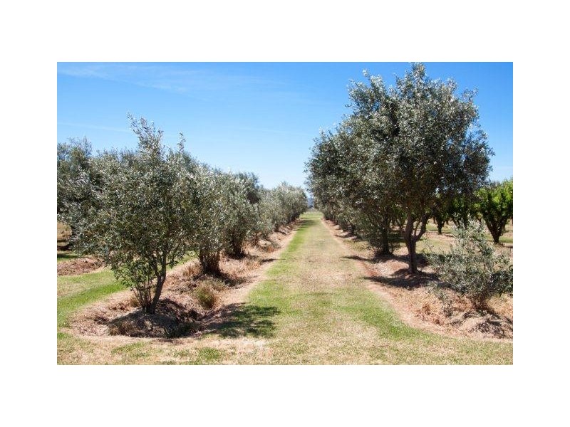 2243 Curran Road, Yenda NSW 2681