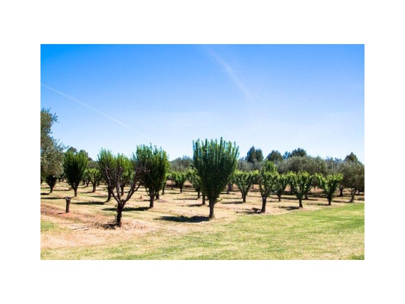 2243 Curran Road, Yenda NSW 2681