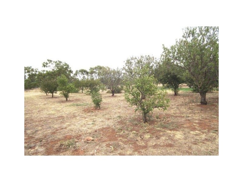 71 McPherson Road, Beelbangera NSW 2680