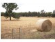 71 McPherson Road, Beelbangera NSW 2680