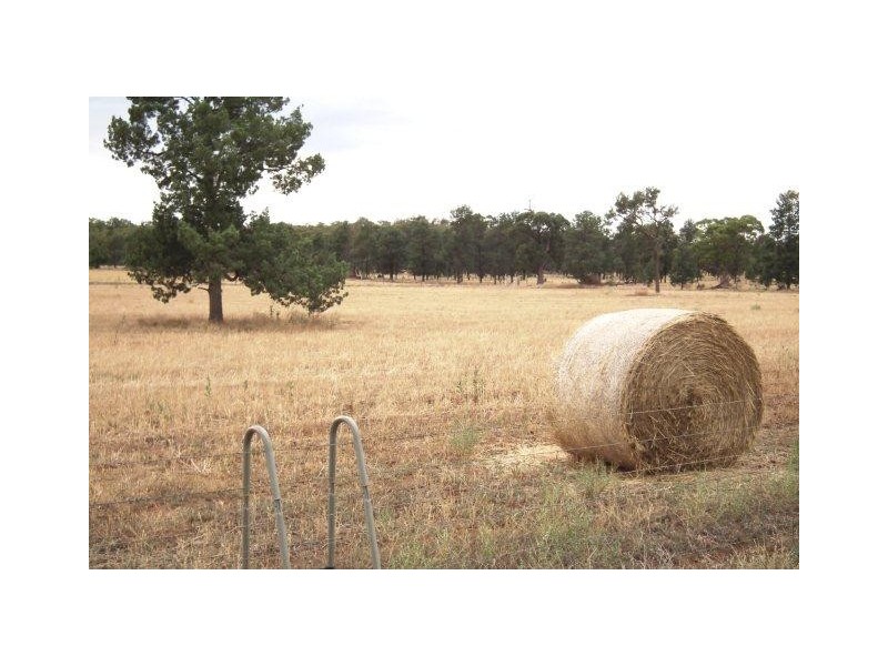 71 McPherson Road, Beelbangera NSW 2680