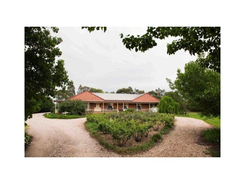 556 Condon Road, Bilbul NSW 2680