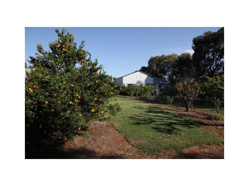 556 Condon Road, Bilbul NSW 2680