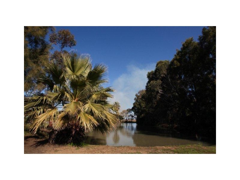 556 Condon Road, Bilbul NSW 2680