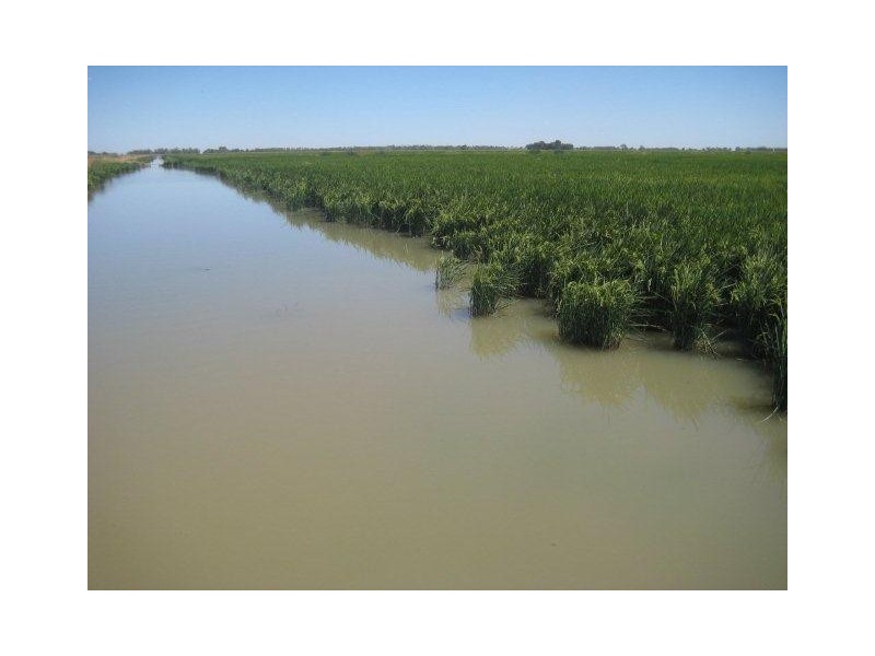 Farm 30B Dossetor Road, Benerembah NSW 2680