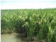 Farm 30B Dossetor Road, Benerembah NSW 2680