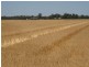 Farm 30B Dossetor Road, Benerembah NSW 2680