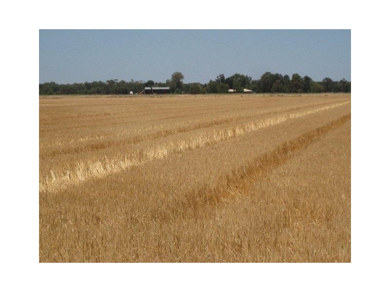 Farm 30B Dossetor Road, Benerembah NSW 2680