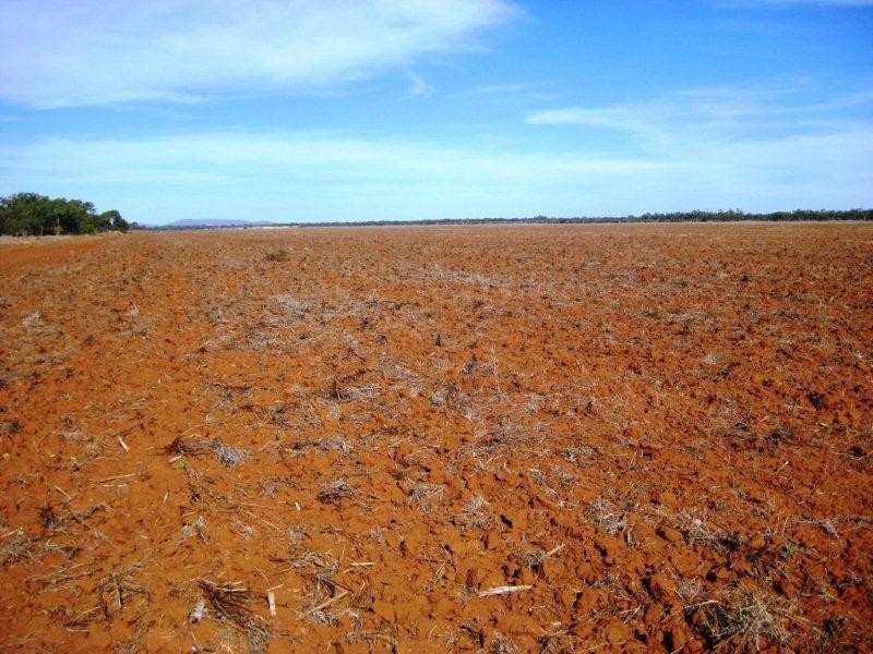 “Valroona” Wallanthery, Hillston NSW 2675