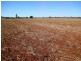 “Valroona” Wallanthery, Hillston NSW 2675