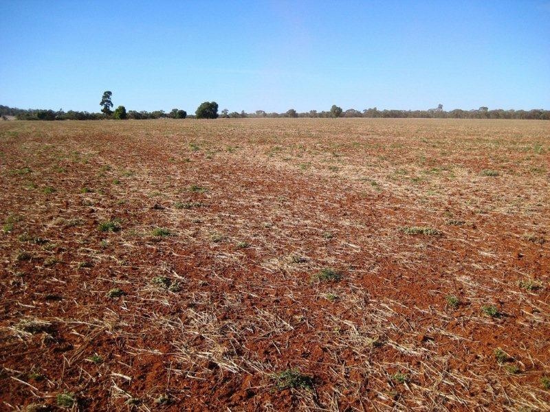 “Valroona” Wallanthery, Hillston NSW 2675