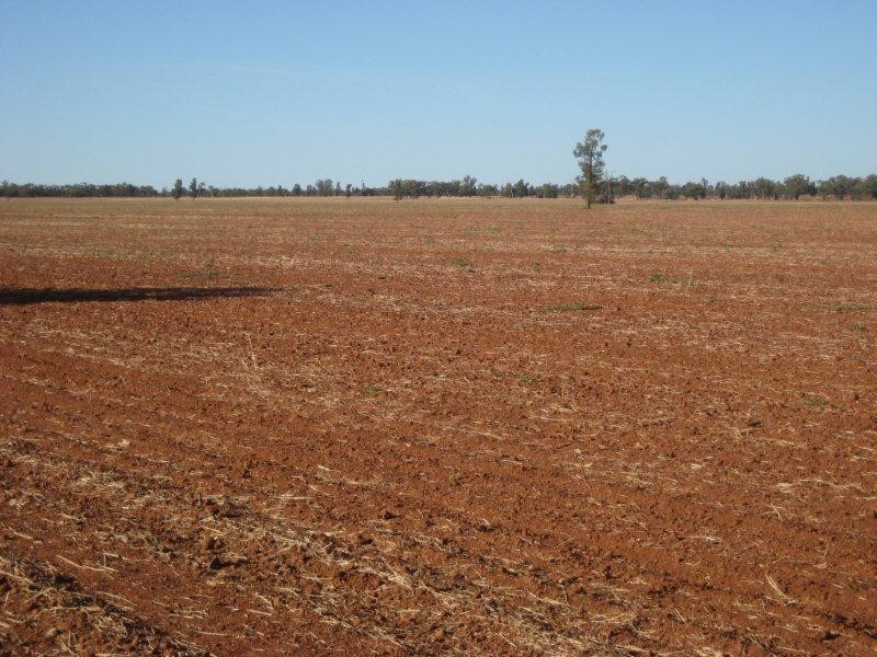 “Valroona” Wallanthery, Hillston NSW 2675