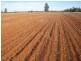 “Valroona” Wallanthery, Hillston NSW 2675