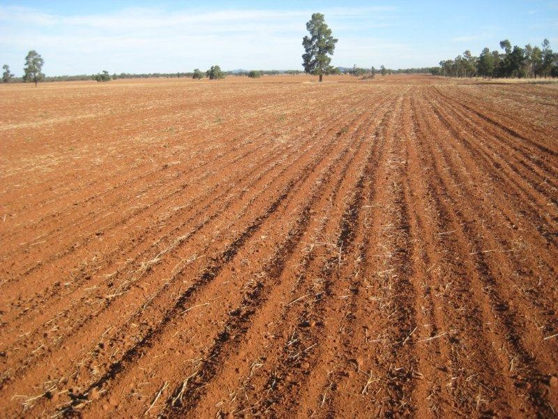 “Valroona” Wallanthery, Hillston NSW 2675