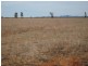“Valroona” Wallanthery, Hillston NSW 2675