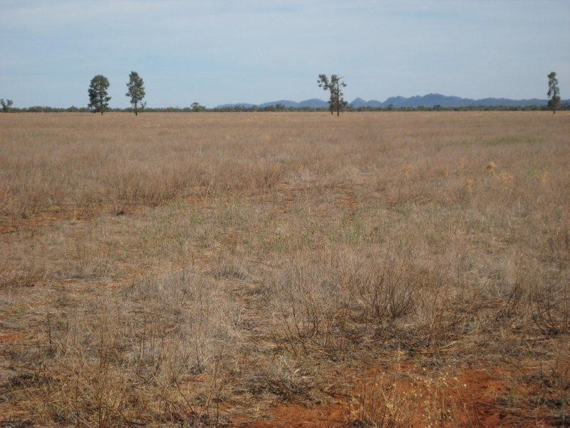 “Valroona” Wallanthery, Hillston NSW 2675