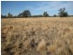 “Valroona” Wallanthery, Hillston NSW 2675