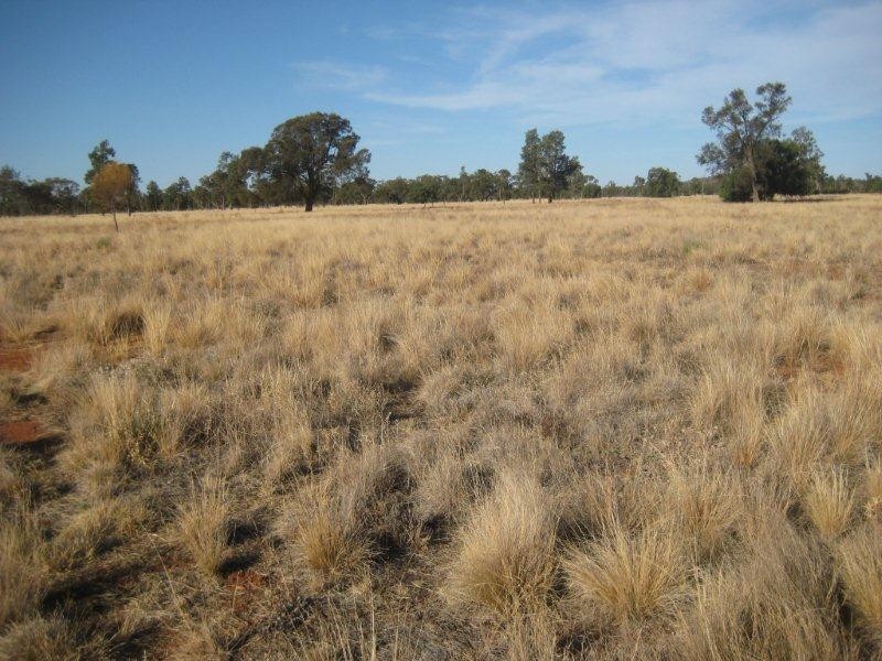 “Valroona” Wallanthery, Hillston NSW 2675