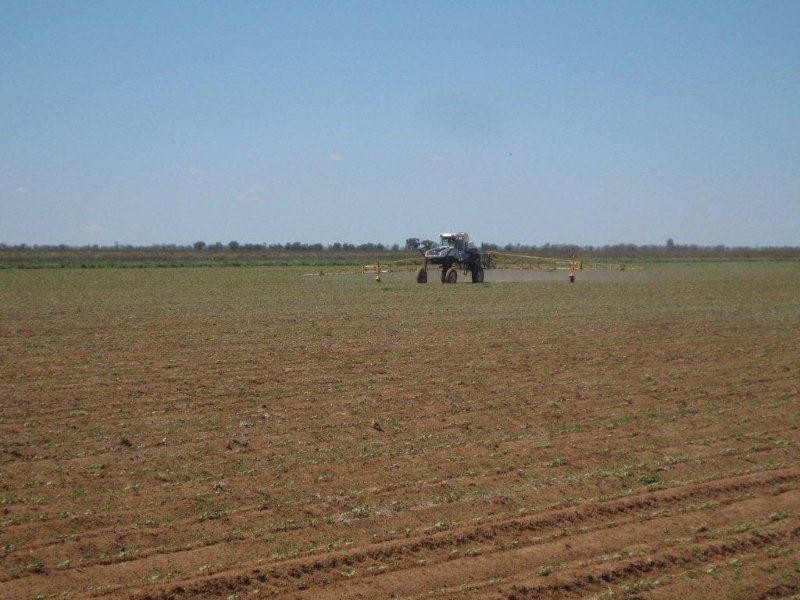 . “McGills”, Hillston NSW 2675