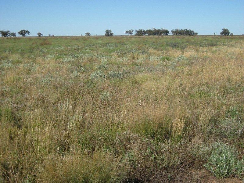 . “McGills”, Hillston NSW 2675