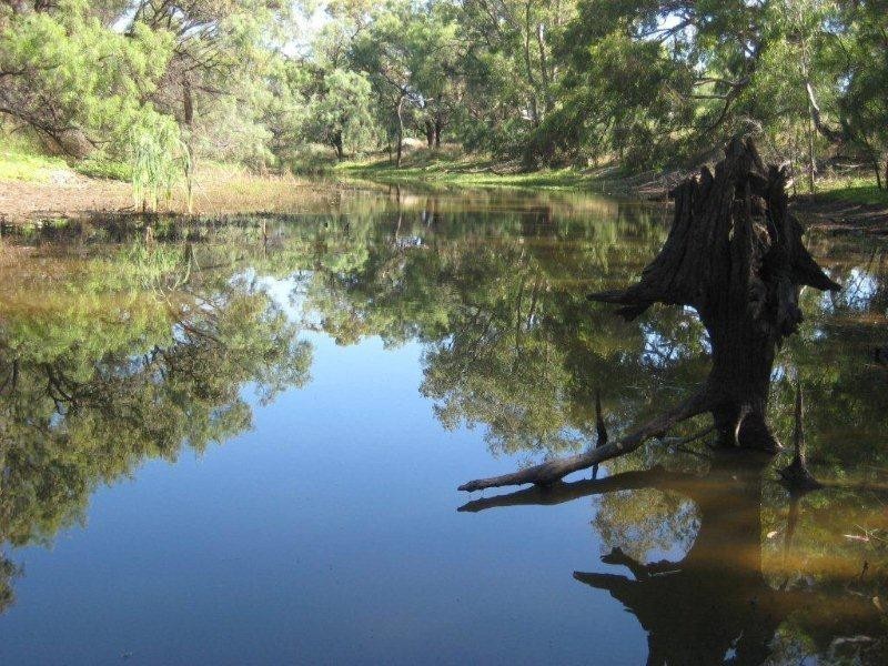 . “McGills”, Hillston NSW 2675