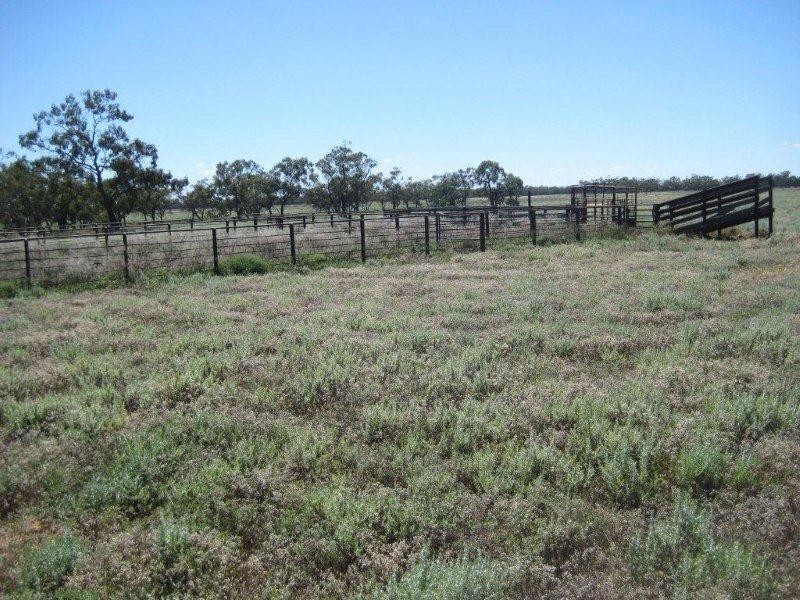 . “McGills”, Hillston NSW 2675