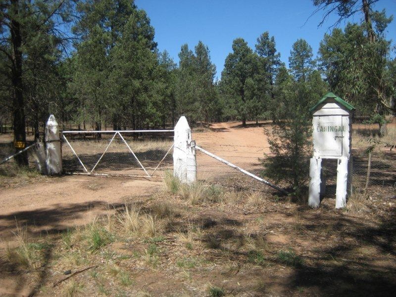 “Caringal” Sturt Highway, Narrandera NSW 2700