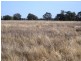 “Caringal” Sturt Highway, Narrandera NSW 2700