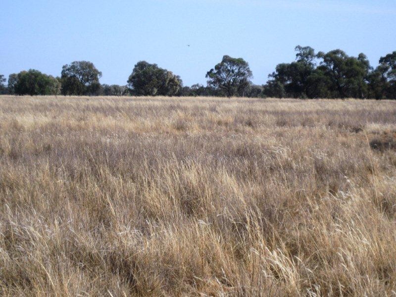 “Caringal” Sturt Highway, Narrandera NSW 2700