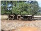 “Caringal” Sturt Highway, Narrandera NSW 2700