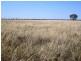 “Caringal” Sturt Highway, Narrandera NSW 2700