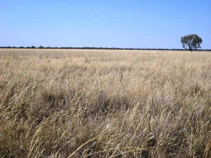 “Caringal” Sturt Highway, Narrandera NSW 2700