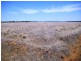 “Caringal” Sturt Highway, Narrandera NSW 2700