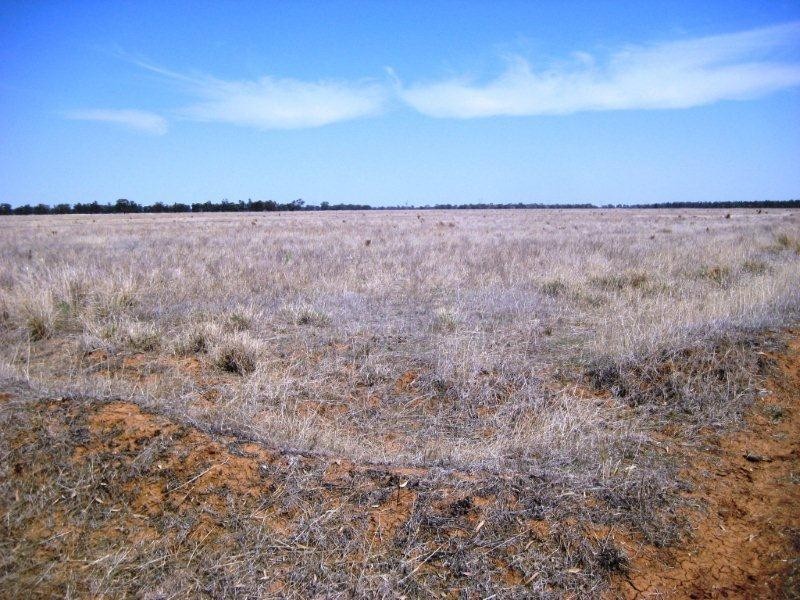 “Caringal” Sturt Highway, Narrandera NSW 2700