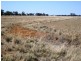 “Caringal” Sturt Highway, Narrandera NSW 2700