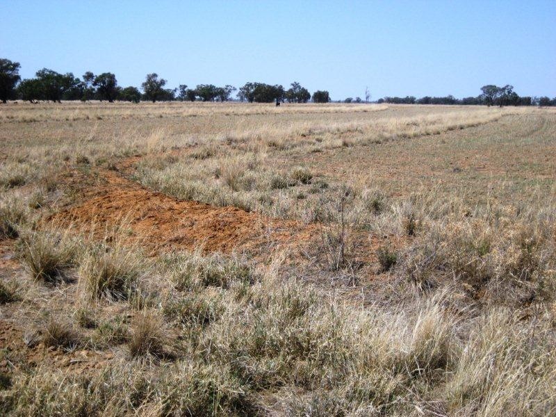 “Caringal” Sturt Highway, Narrandera NSW 2700