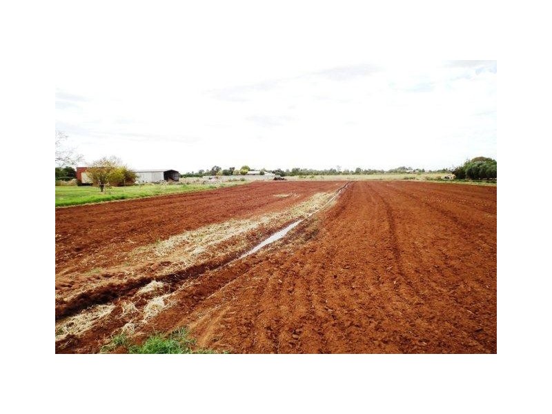 851 Holt Road, Griffith NSW 2680